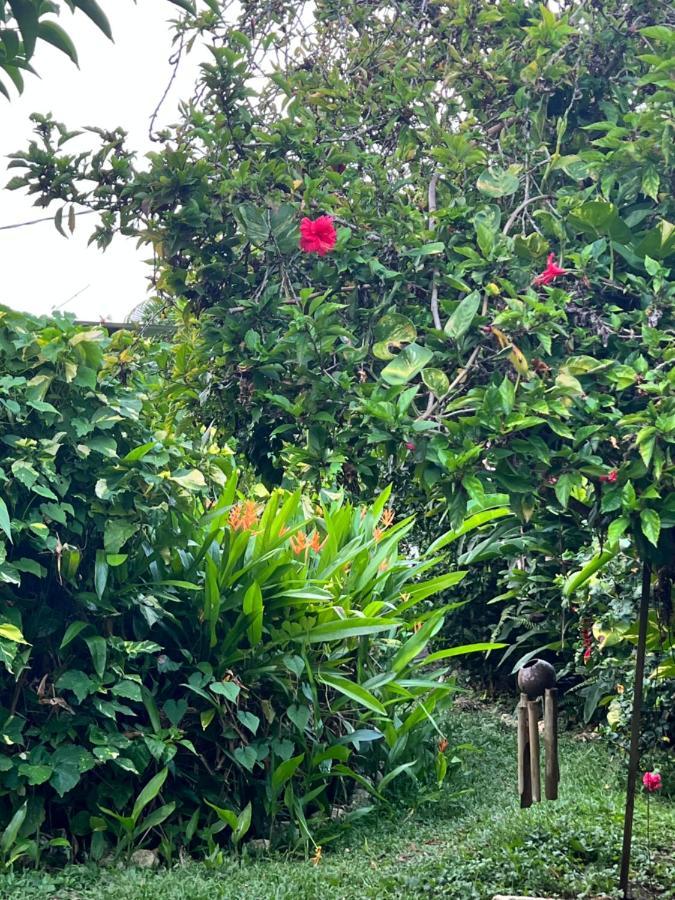 Jamaica Colors Hotel And Eco-Retreat Порт-Антонио Экстерьер фото