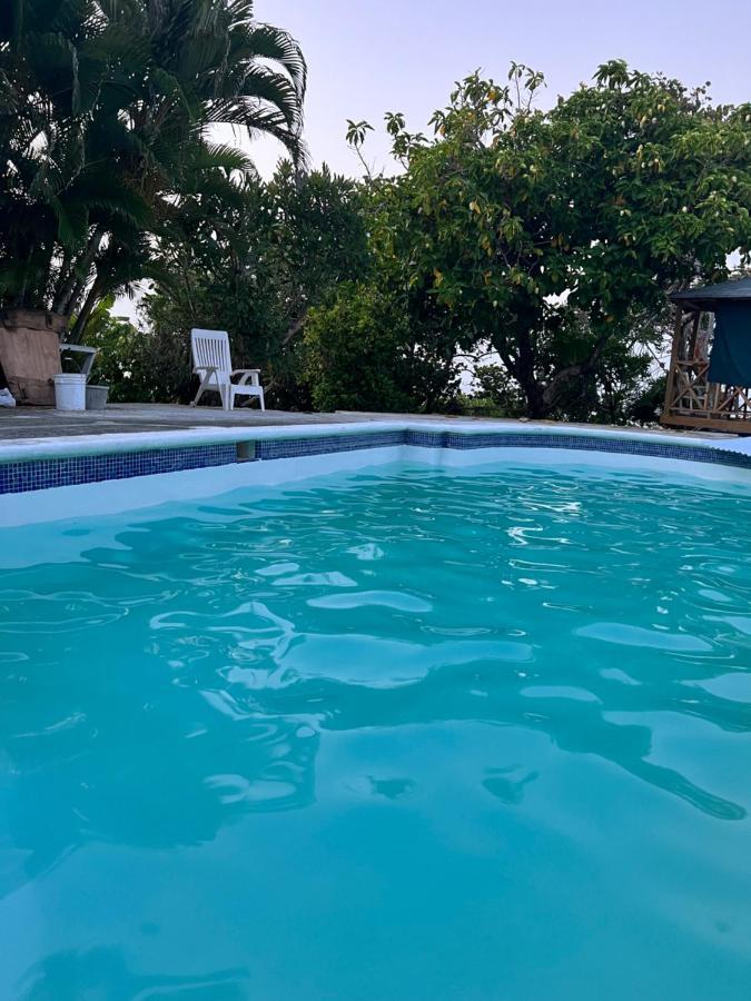 Jamaica Colors Hotel And Eco-Retreat Порт-Антонио Экстерьер фото