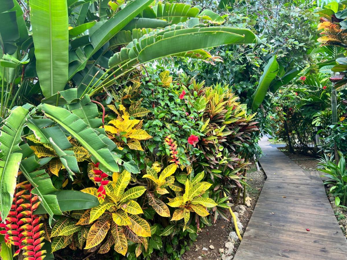 Jamaica Colors Hotel And Eco-Retreat Порт-Антонио Экстерьер фото
