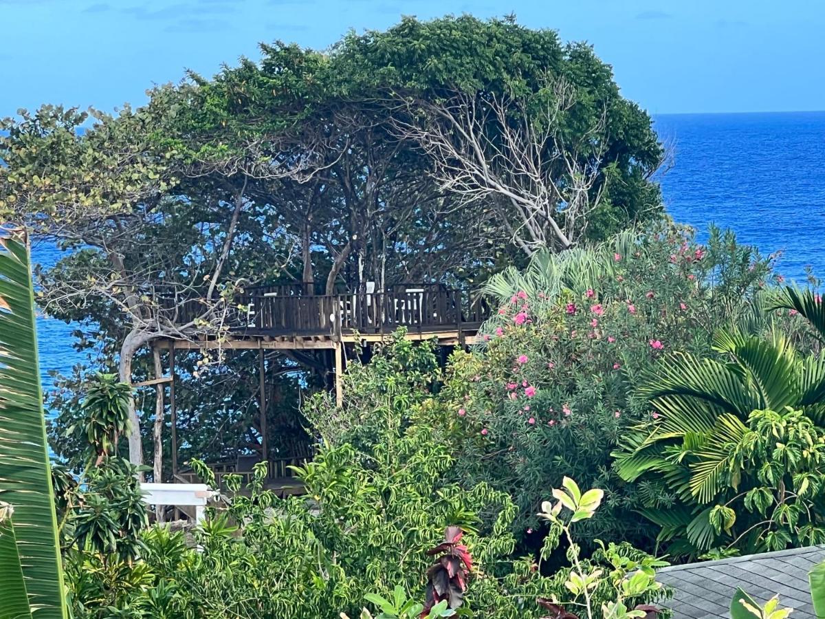 Jamaica Colors Hotel And Eco-Retreat Порт-Антонио Экстерьер фото