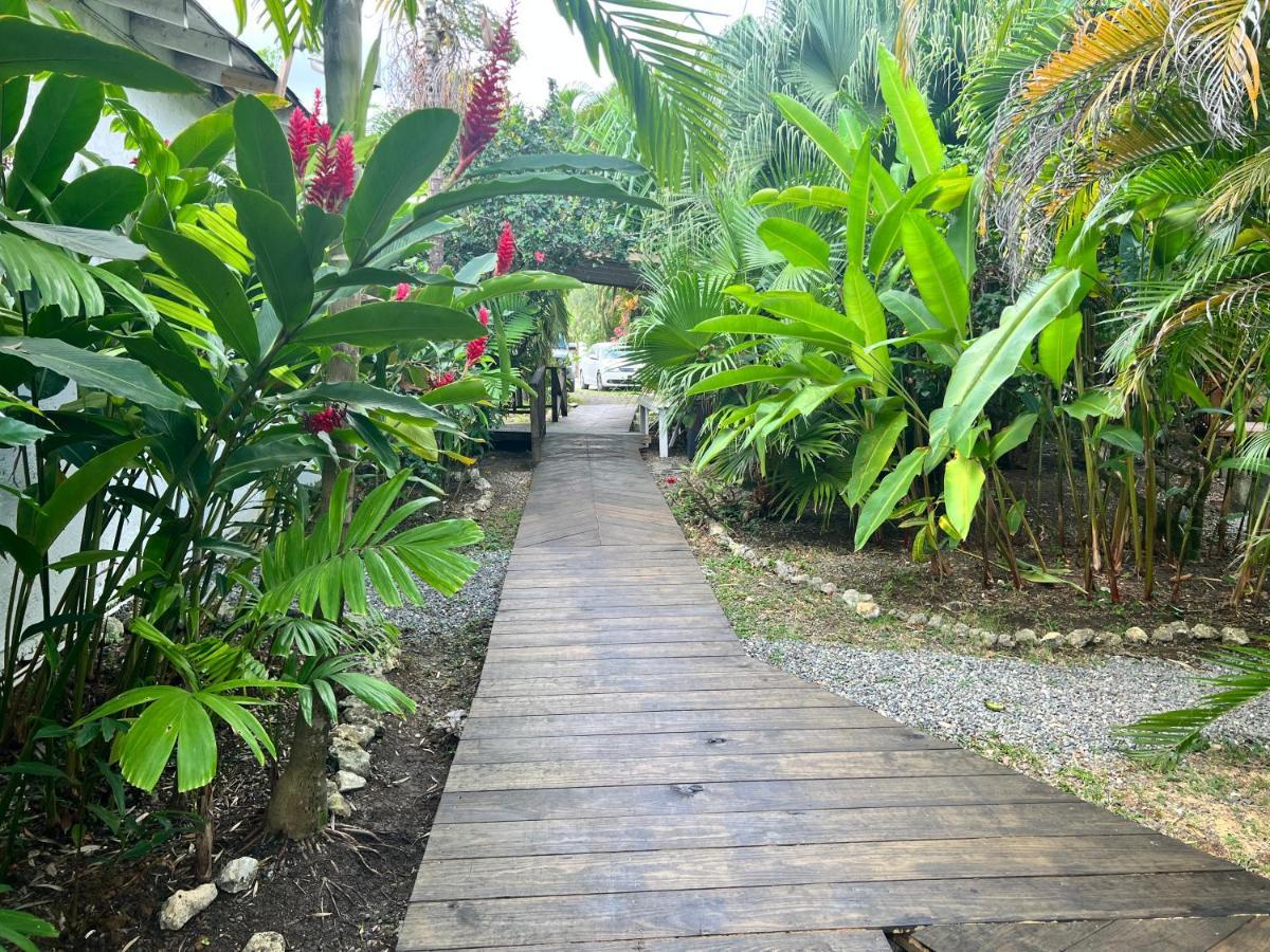 Jamaica Colors Hotel And Eco-Retreat Порт-Антонио Экстерьер фото