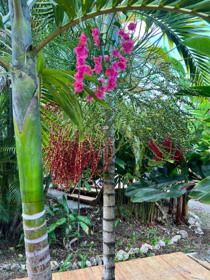 Jamaica Colors Hotel And Eco-Retreat Порт-Антонио Экстерьер фото