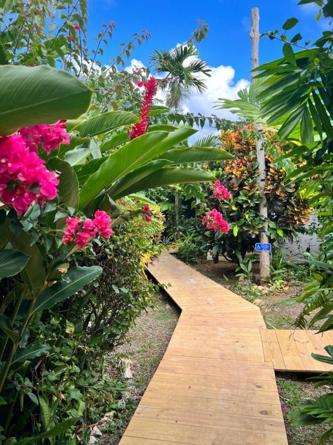 Jamaica Colors Hotel And Eco-Retreat Порт-Антонио Экстерьер фото