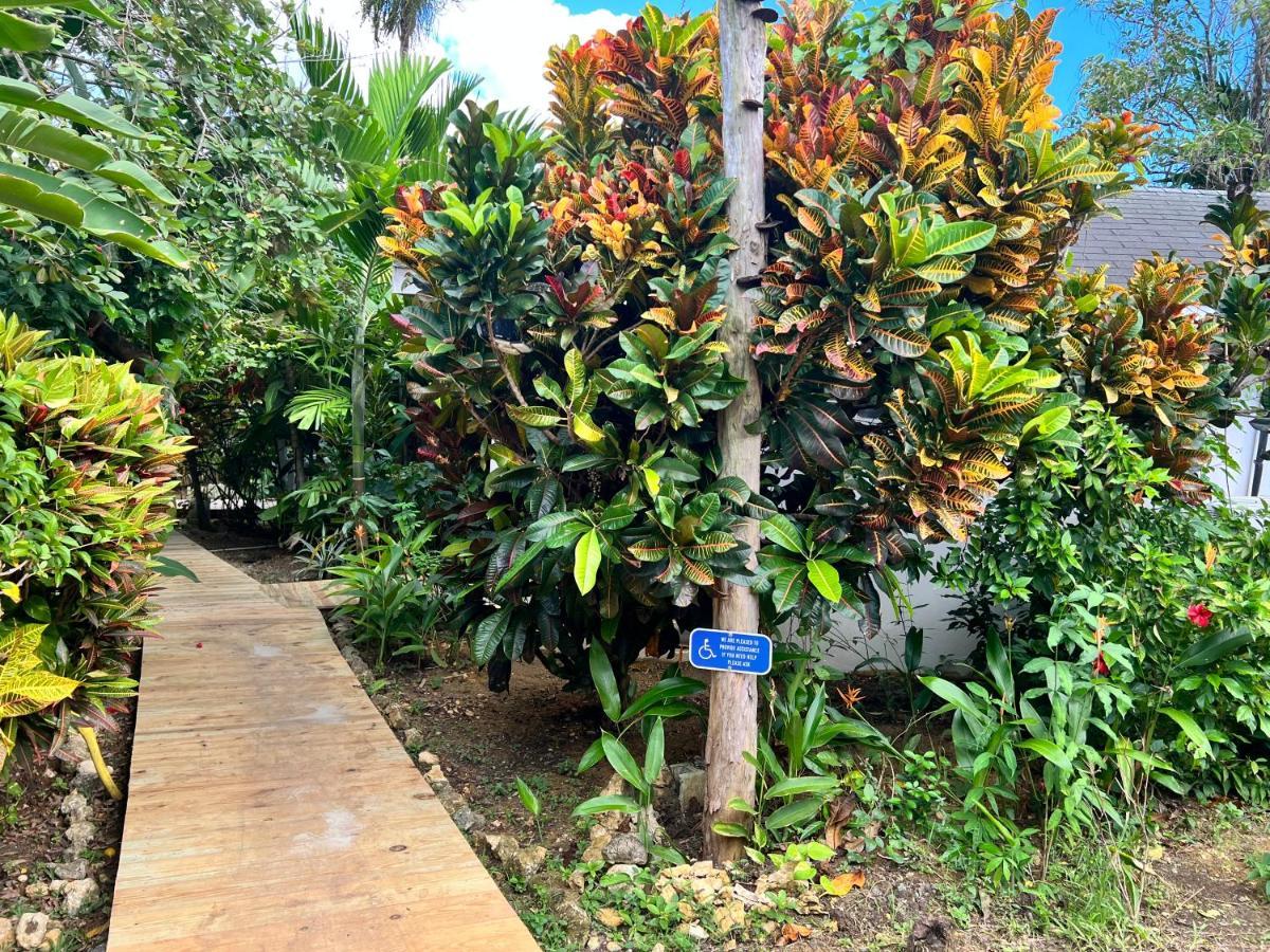 Jamaica Colors Hotel And Eco-Retreat Порт-Антонио Экстерьер фото